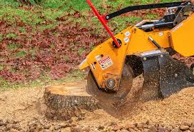 Lawn Maintenance Plans in Stottville, NY